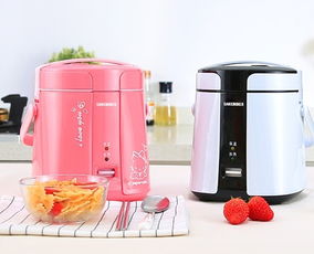 2017年淘寶天貓電飯煲品牌熱銷排行榜深度解析